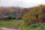 Roche, la campagne au printemps