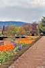 Metz, l'Esplanade, les jardins
